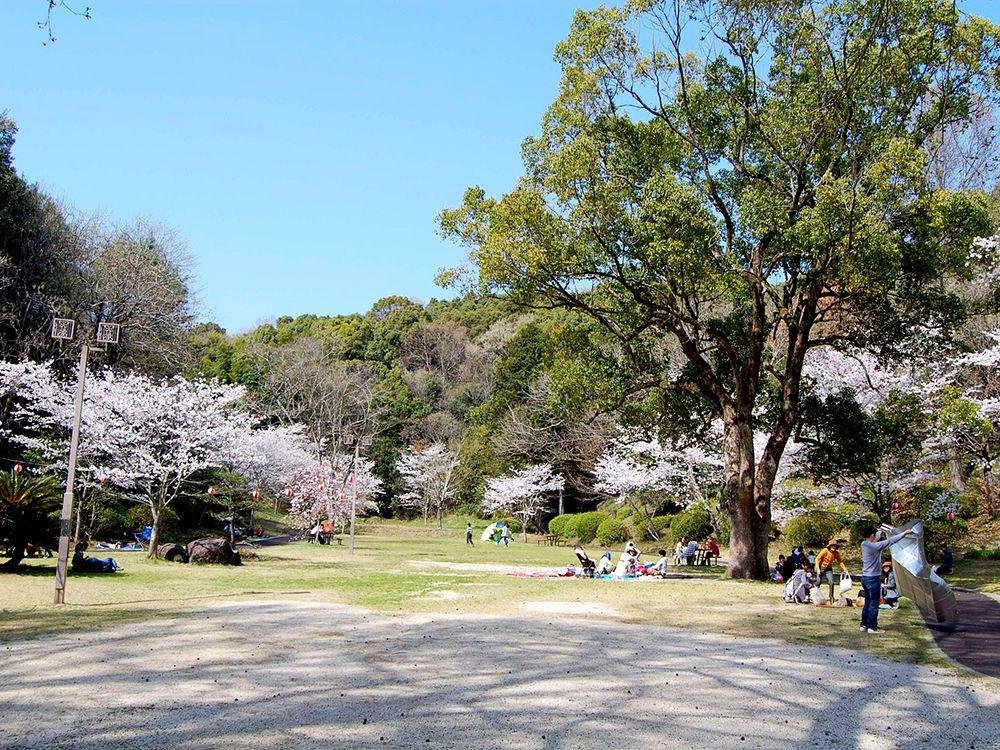 🏞️ 뱀 계곡 공원 (자가타니 코엔) 이미지 1